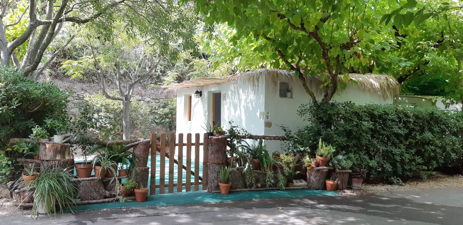 Cabaña Eco-Paradise