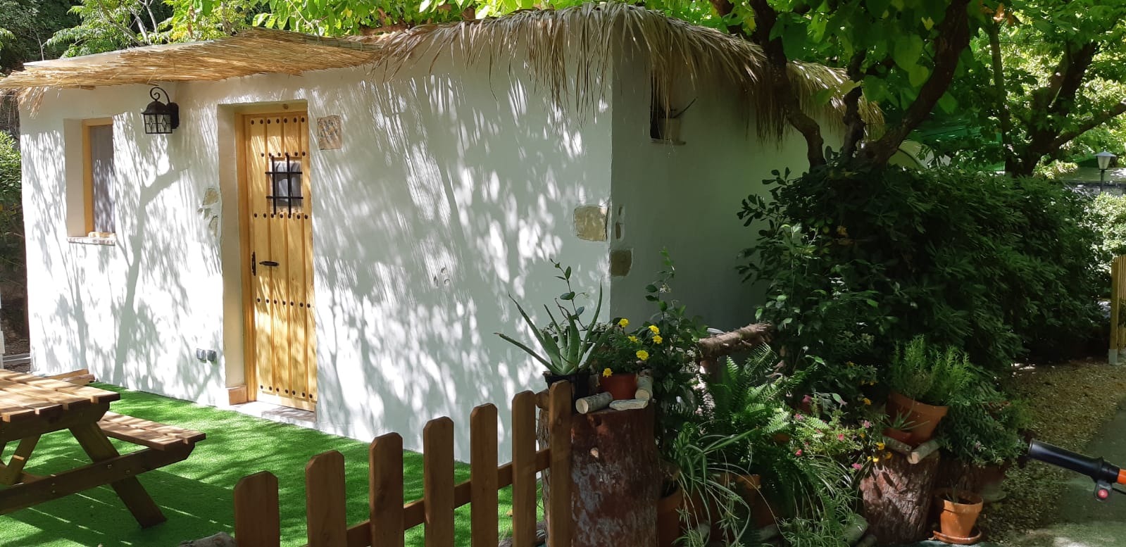 Lateral de la cabaña con mesa de picnic en césped