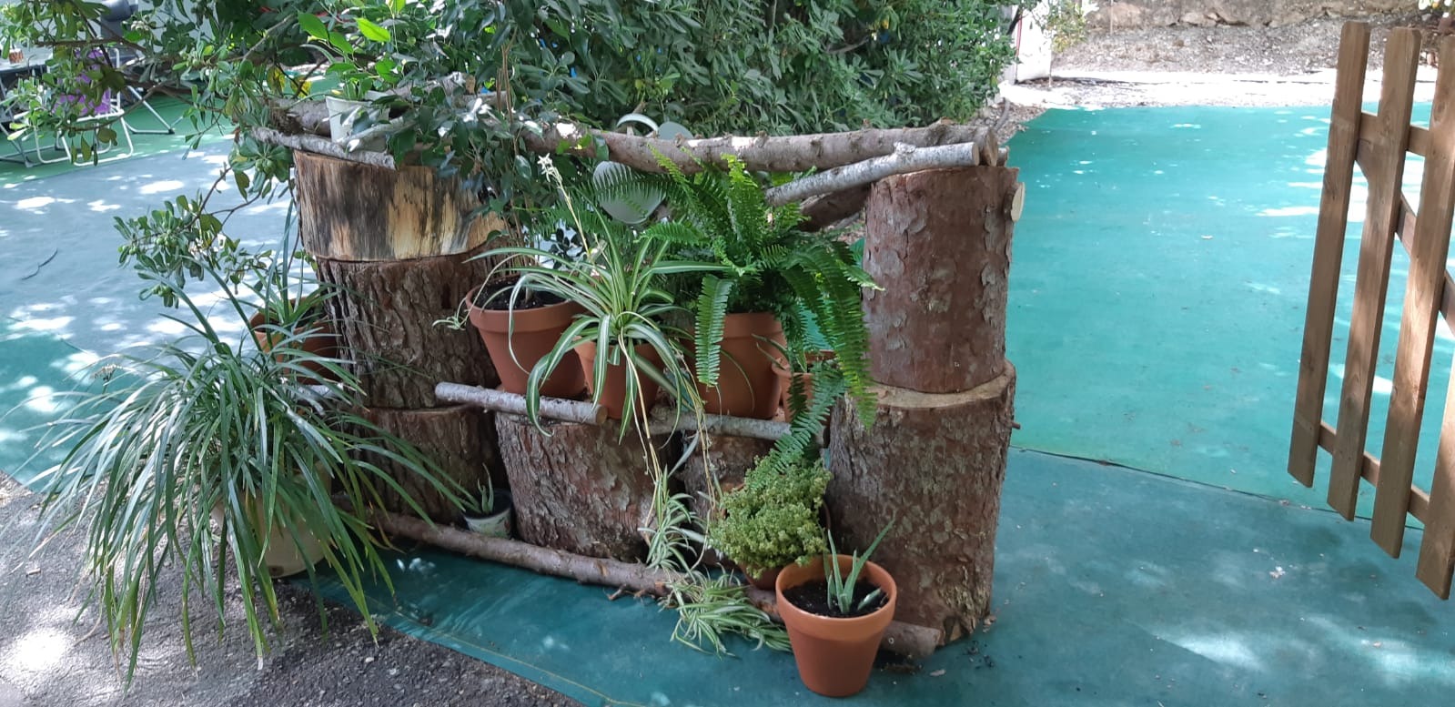 Decoración natural con troncos y plantas