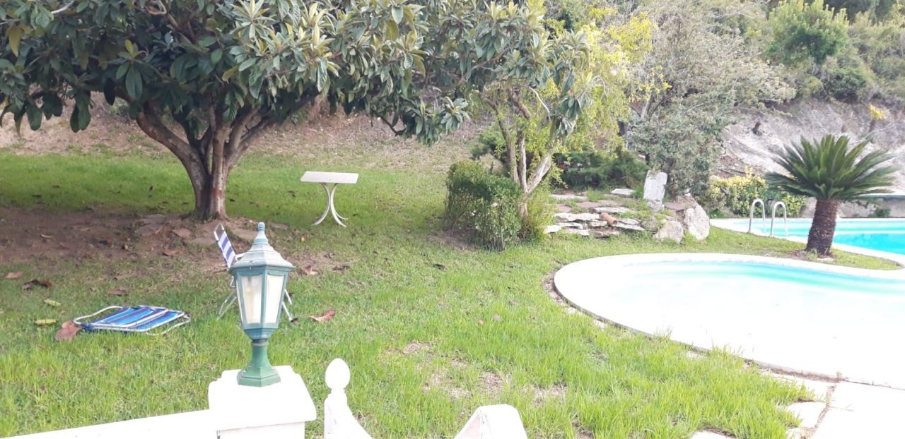 Piscina comunitaria con jardín y palmera