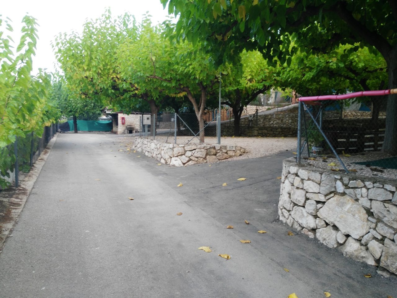 Camino con parcelas delimitadas con muro de piedra
