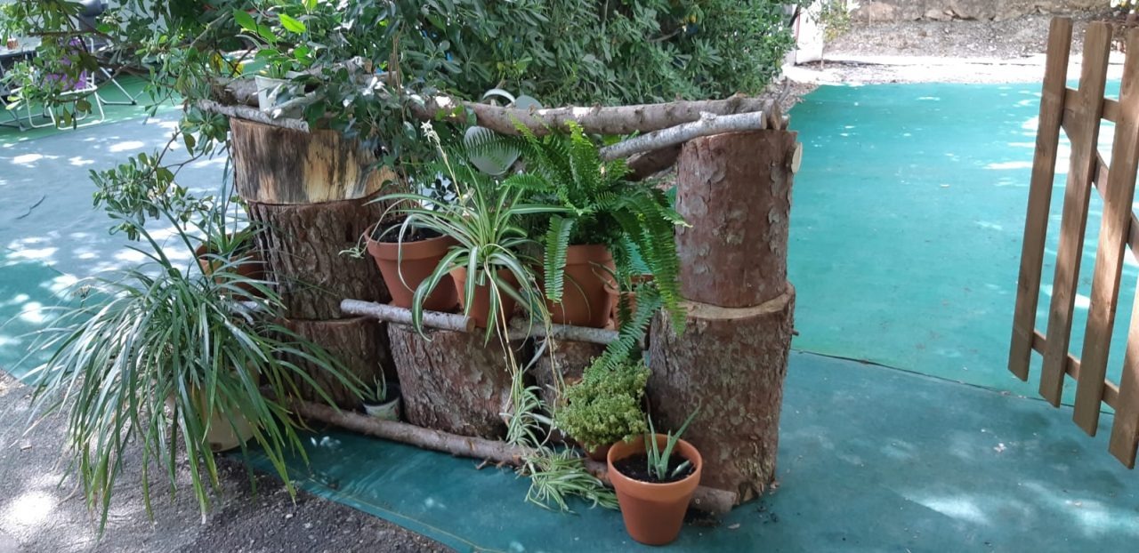 Decoración natural con troncos y macetas con plantas
