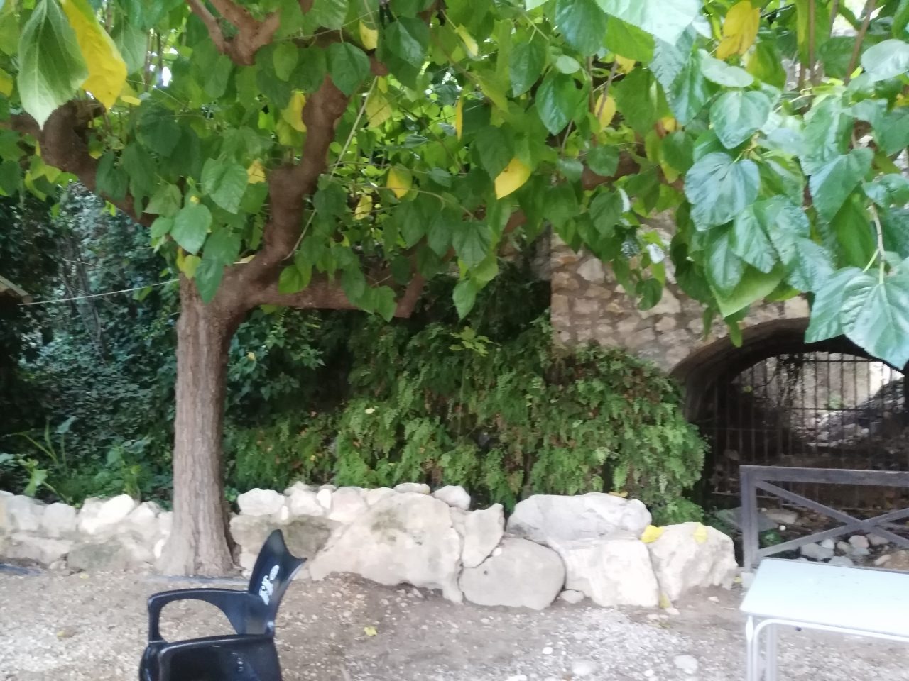 Rincón ajardinado con sombra
